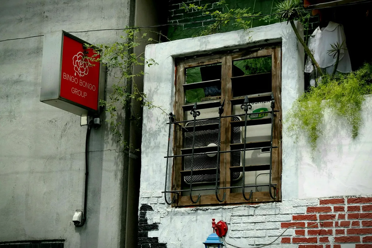 Weathered white building with red "Bingo Bongo Group" sign, wooden-framed window with metal grate, and climbing vines.
