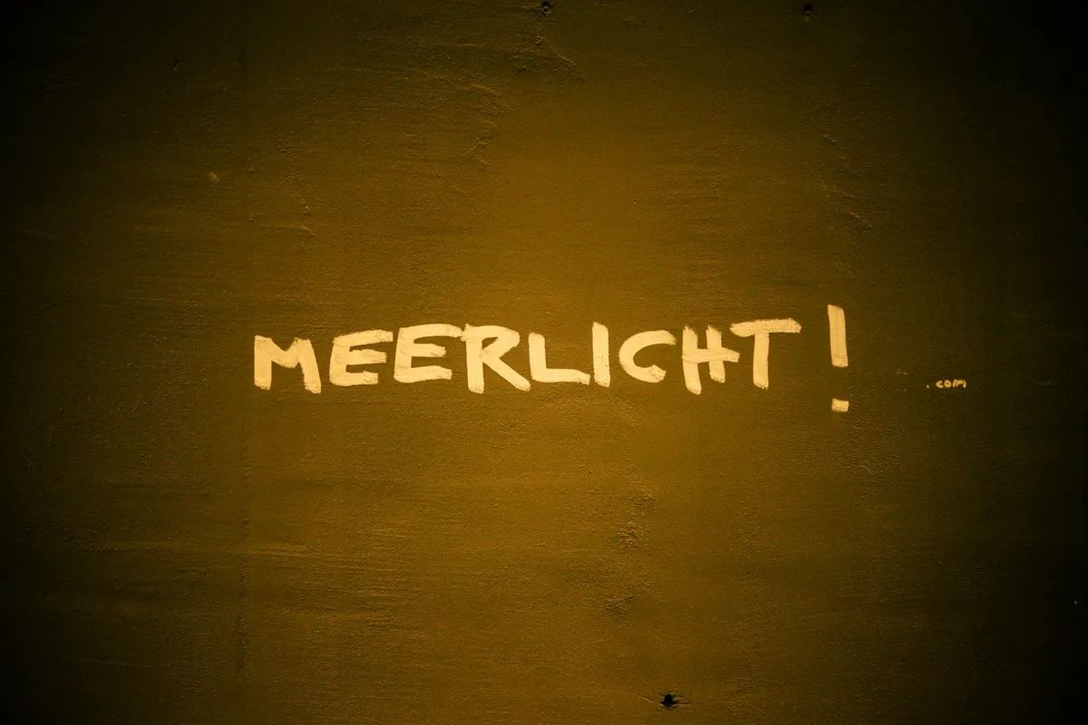 Neon sign reading "MEERLIGHT" glowing yellow against a dark textured wall